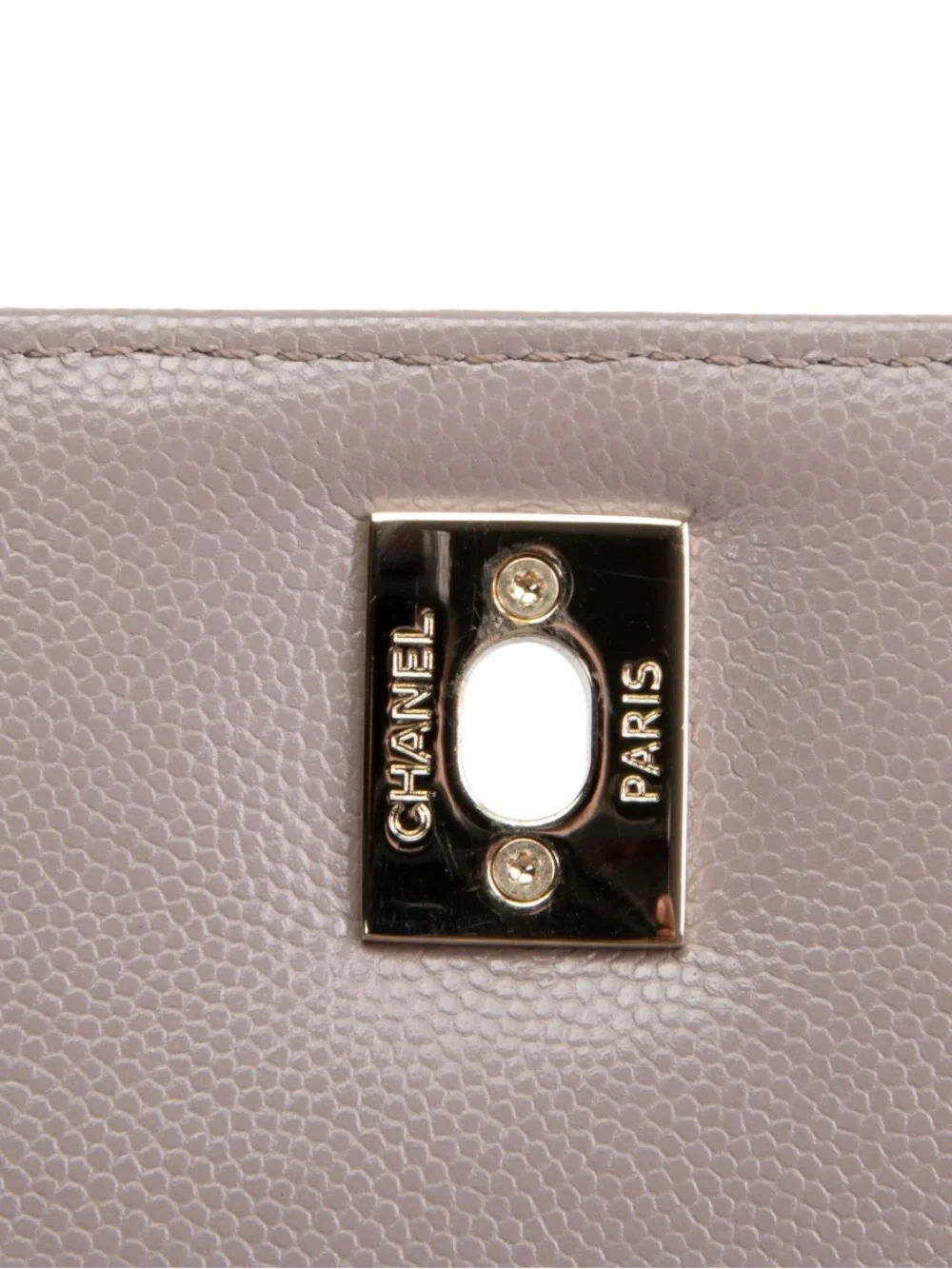 CHANEL Small Lizard Trimmed Coco Handle Shoulder Bag - Light Purple